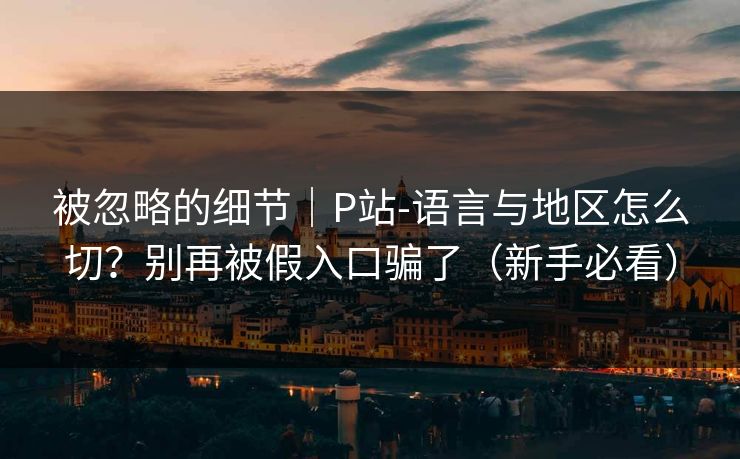 被忽略的细节｜P站-语言与地区怎么切？别再被假入口骗了（新手必看）