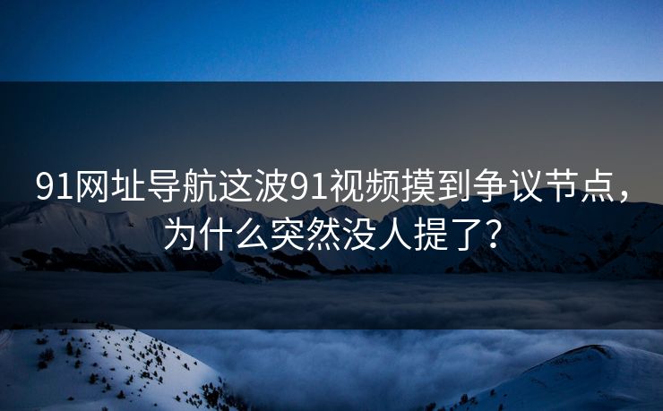 91网址导航这波91视频摸到争议节点，为什么突然没人提了？